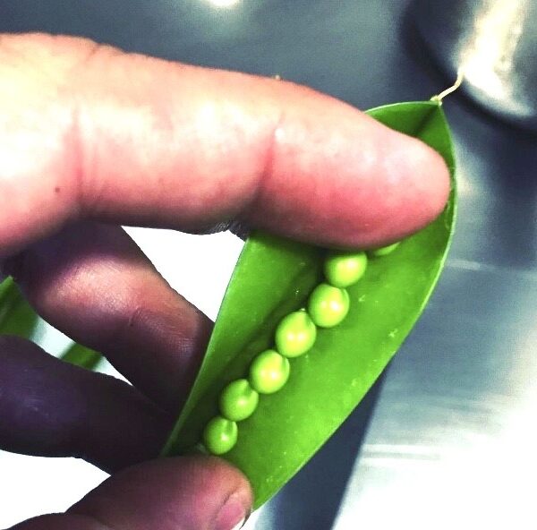 Galeria producto 12 600x592