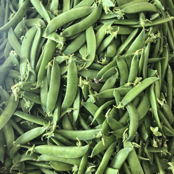 Galeria producto 15 600x600