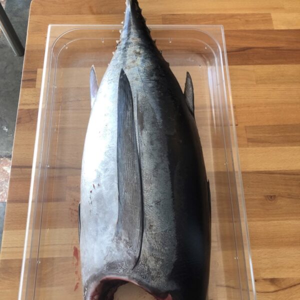 Galeria producto 2 600x600