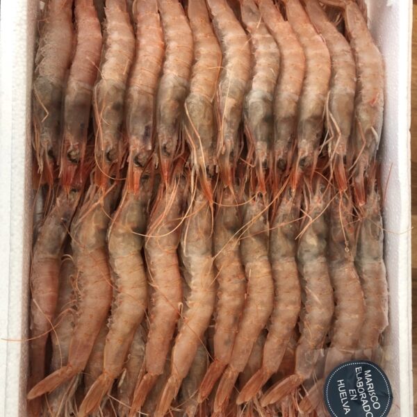 Galeria producto 4 600x600