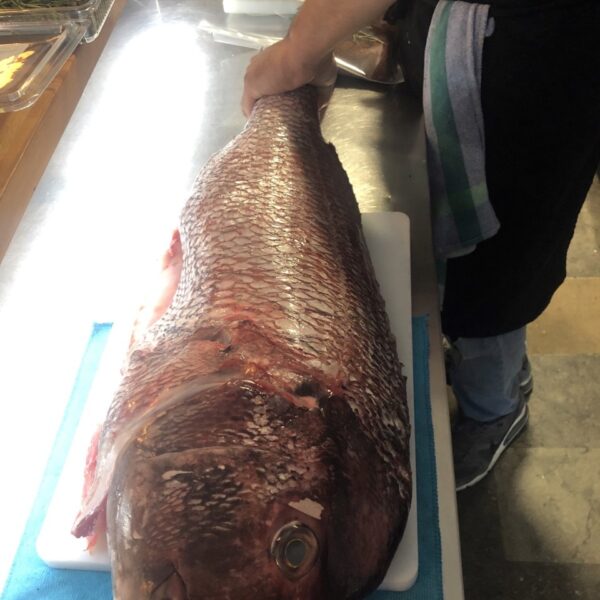 Galeria producto 5 600x600