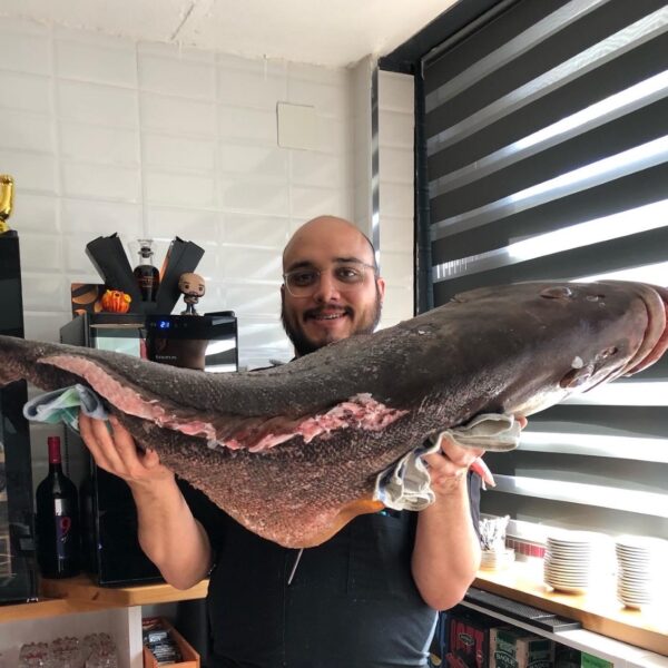 Galeria producto 7 600x600